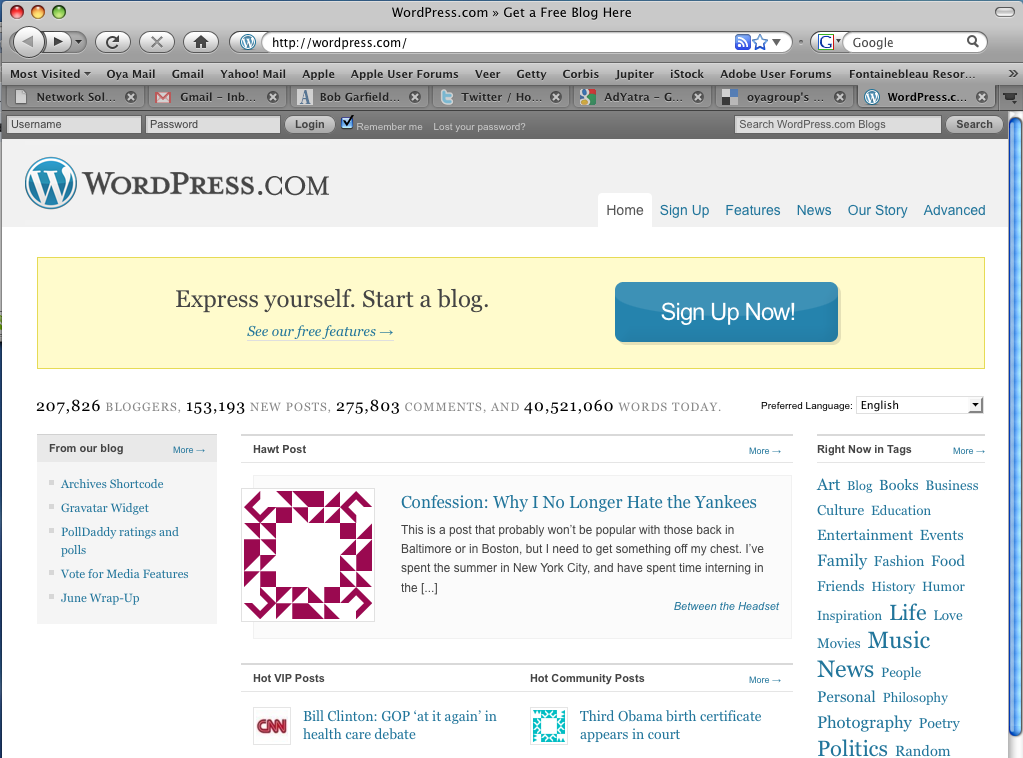 Wordpress home page